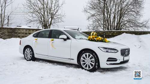 Вариант украшений для свадебного авто №87