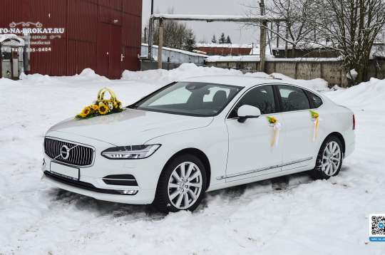 Вариант украшений для свадебного авто №87