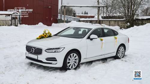 Вариант украшений для свадебного авто №87