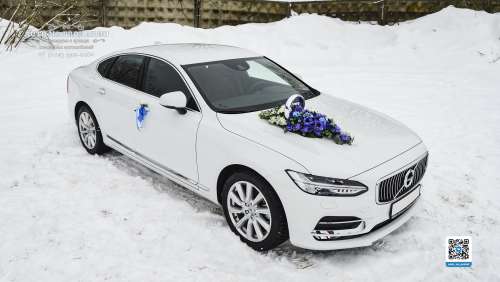 Вариант украшений для свадебного авто №88