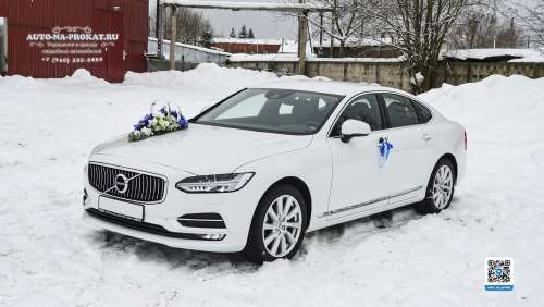 Вариант украшений для свадебного авто №88