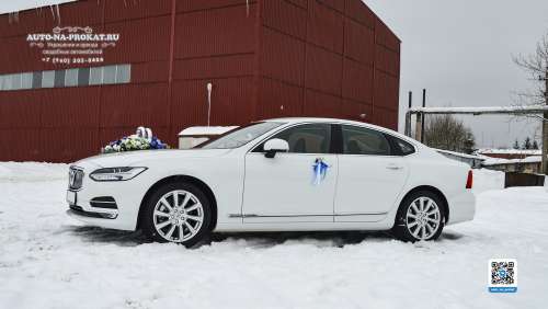 Вариант украшений для свадебного авто №88