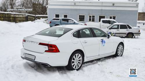 Вариант украшений для свадебного авто №88