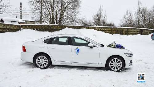 Вариант украшений для свадебного авто №88