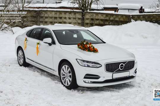 Вариант украшений для свадебного авто №89