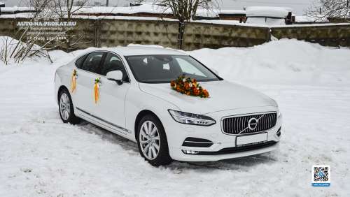 Вариант украшений для свадебного авто №89