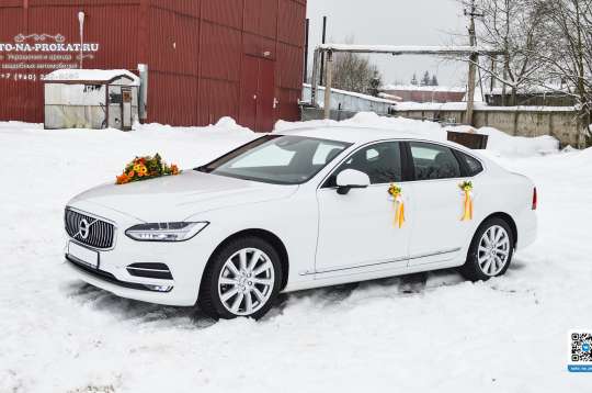 Вариант украшений для свадебного авто №89