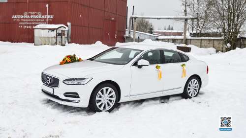 Вариант украшений для свадебного авто №89