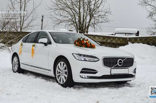 Вариант украшений для свадебного авто №89