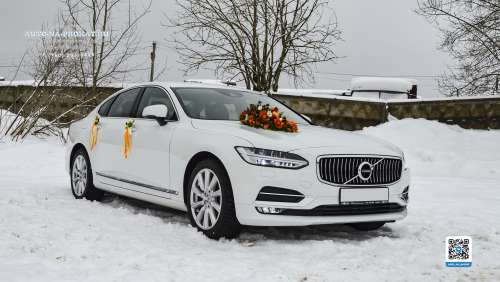 Вариант украшений для свадебного авто №89