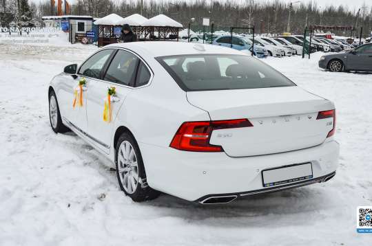 Вариант украшений для свадебного авто №89