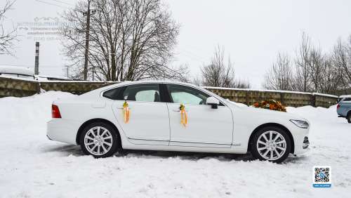 Вариант украшений для свадебного авто №89