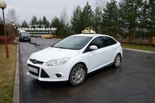 Ford Focus и вариант украшения №41