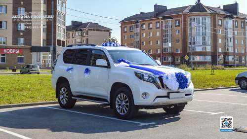 Вариант украшений для свадебного авто №90