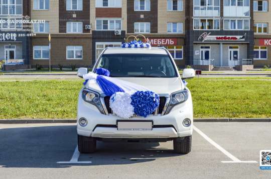 Вариант украшений для свадебного авто №90