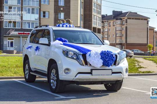 Вариант украшений для свадебного авто №90