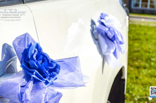 Вариант украшений для свадебного авто №90