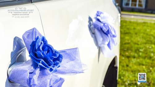 Вариант украшений для свадебного авто №90