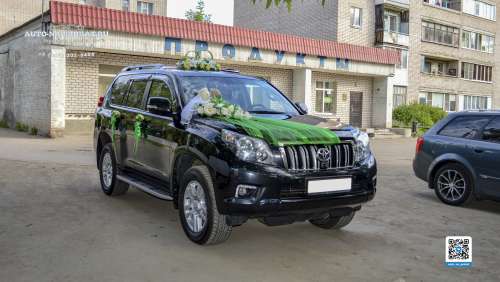 Вариант украшений для свадебного авто №92