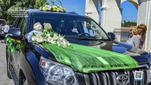 Вариант украшений для свадебного авто №92