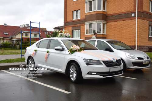 Skoda Superb и вариант украшения №22