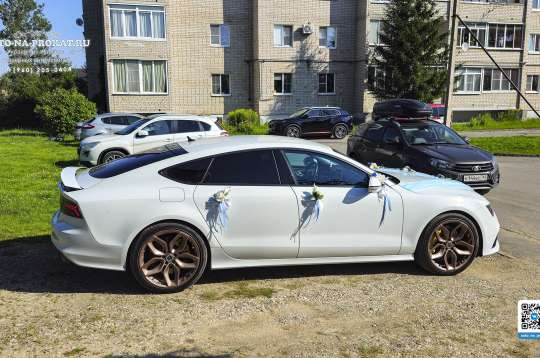 Вариант украшений для свадебного авто №93