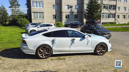 Вариант украшений для свадебного авто №93