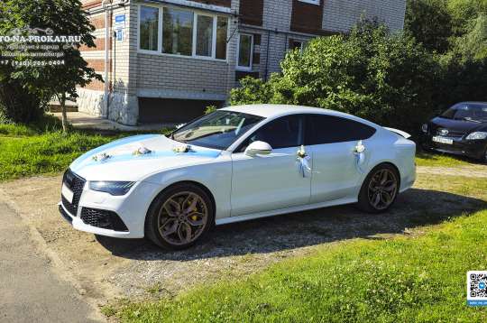 Вариант украшений для свадебного авто №93