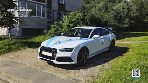 Вариант украшений для свадебного авто №93