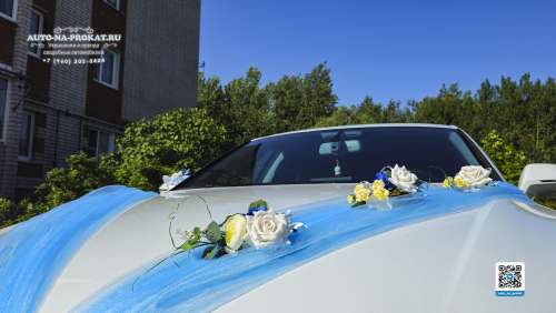 Вариант украшений для свадебного авто №93