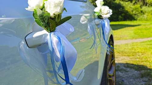 Вариант украшений для свадебного авто №93
