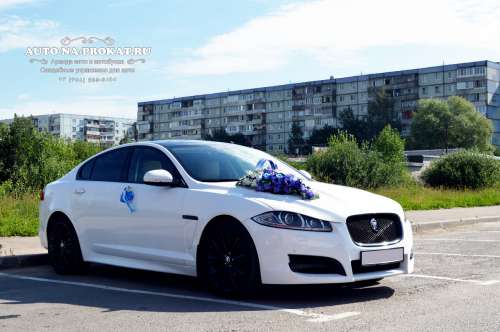 Jaguar XF и вариант украшения №88