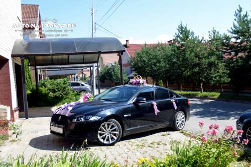 черный Jaguar XF и вариант украшения №34