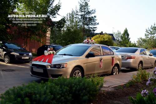 Mitsubishi Lancer X и вариант украшения №66