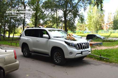 Toyota Land Cruiser Prado и вариант украшения №54