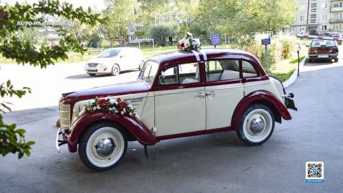 Вариант украшений для свадебного авто №94