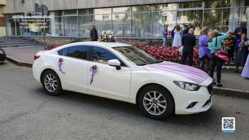 Вариант украшений для свадебного авто №95