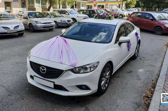 Вариант украшений для свадебного авто №95