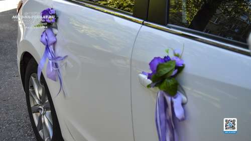 Вариант украшений для свадебного авто №95