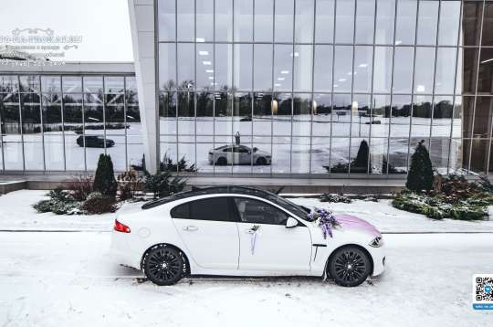 Вариант украшений для свадебного авто №96