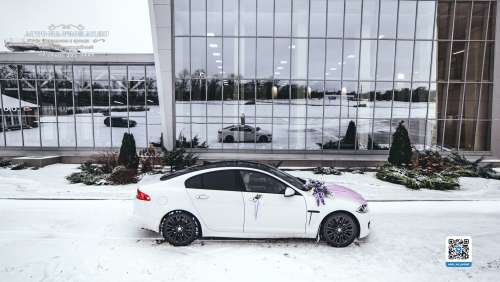 Вариант украшений для свадебного авто №96