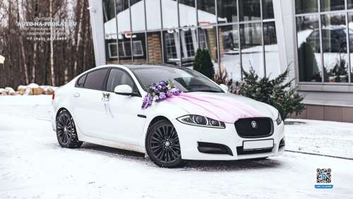 Вариант украшений для свадебного авто №96