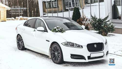 Вариант украшений для свадебного авто №97