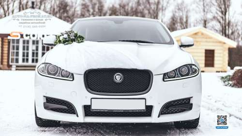 Вариант украшений для свадебного авто №97