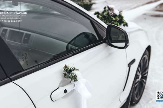 Вариант украшений для свадебного авто №97