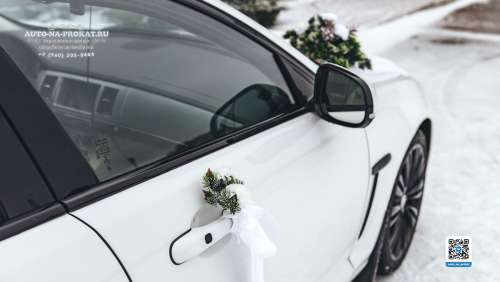 Вариант украшений для свадебного авто №97