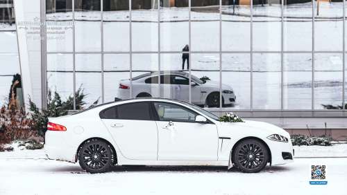 Вариант украшений для свадебного авто №97