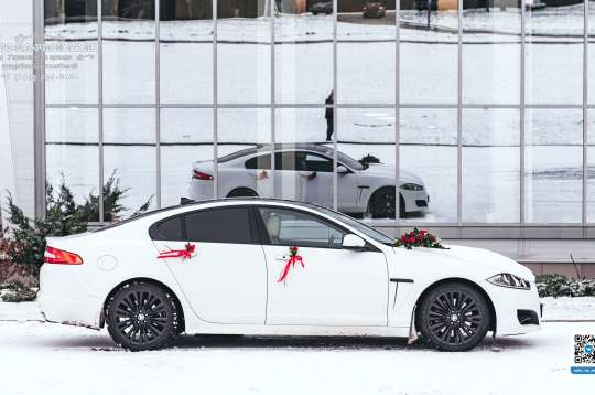 Вариант украшений для свадебного авто №98