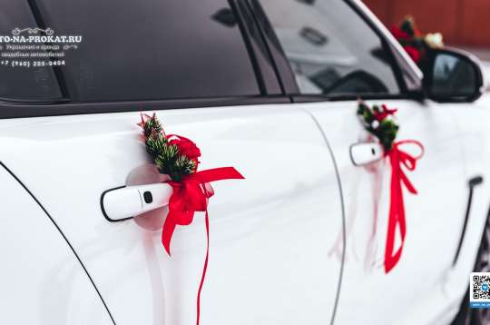 Вариант украшений для свадебного авто №98