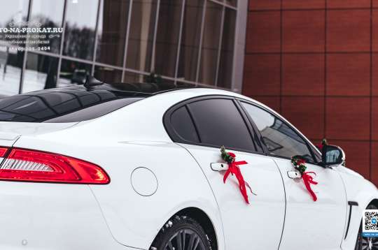 Вариант украшений для свадебного авто №98